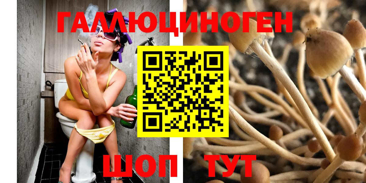 Галлюциногенные грибы мухоморы  наркота  Вход с VPN  Тамбов  Галлюциногенные грибы мицелий 