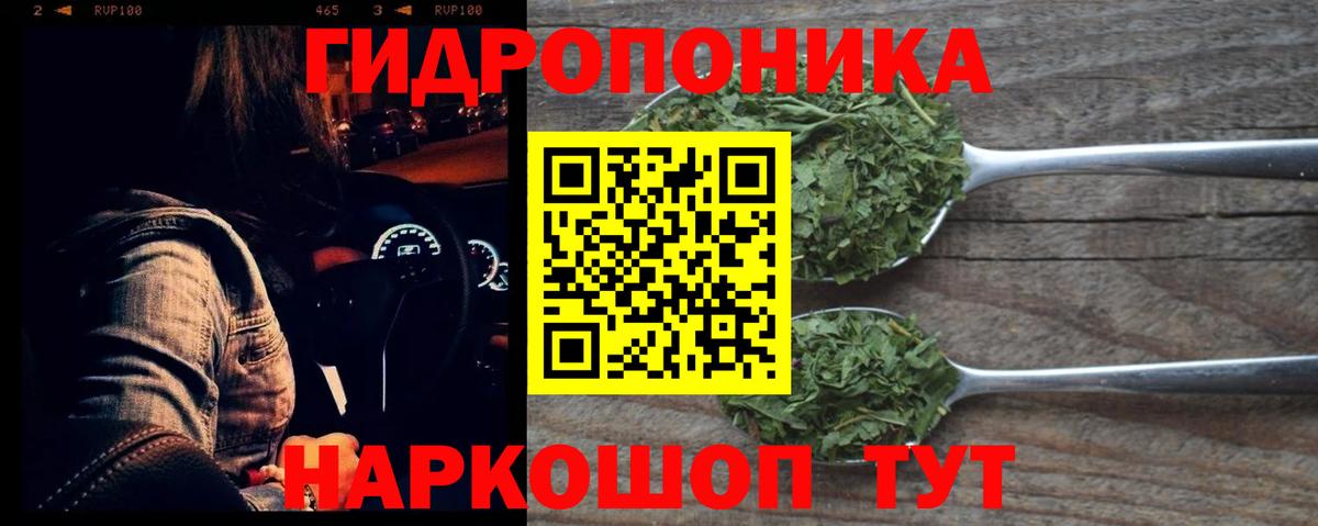 Шишки марихуана Amnesia  Каннабис индика  Каннабис ГИДРОПОН  Вход с VPN  Тамбов  Шишки марихуана семена 